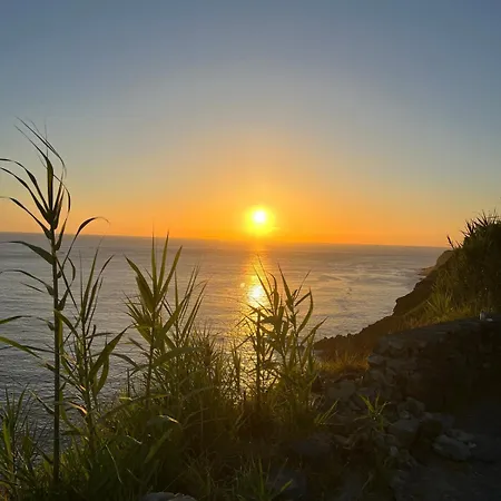 Paradise Sunset Candelária